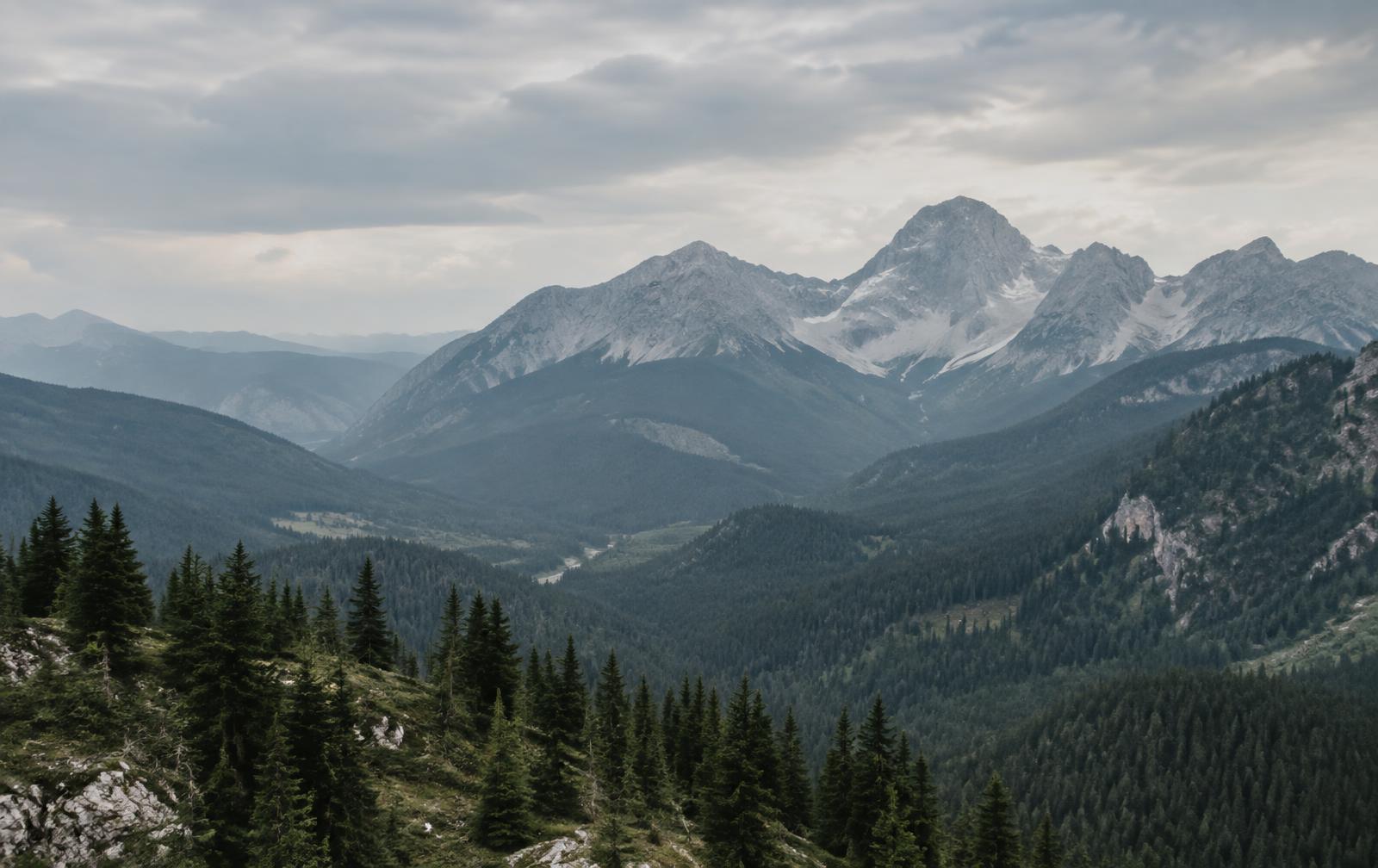 Blick über dunkle Nadelwälder auf die Felsgipfel von Rax und Schneeberg